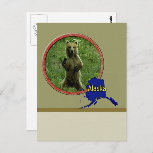 Alaskan Wildlife Postkarte (Vorne/Hinten)