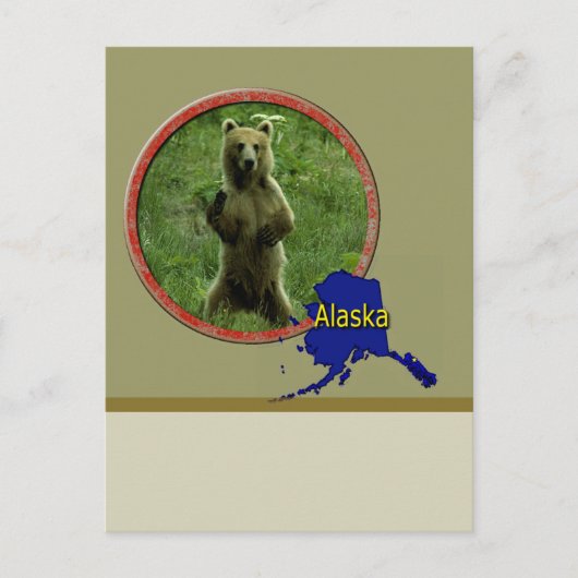 Alaskan Wildlife Postkarte (Vorderseite)