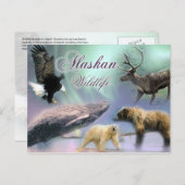 Alaskan Wildlife Postkarte (Vorne/Hinten)
