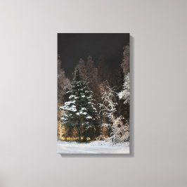 Alaskan Winter Night Stretched Canvas Print Leinwanddruck