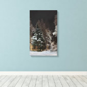 Alaskan Winter Night Stretched Canvas Print Leinwanddruck (Insitu (Holzboden))