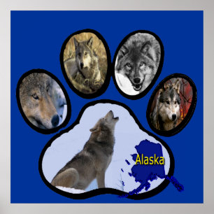 Alaskan Wolf Paw Print Poster