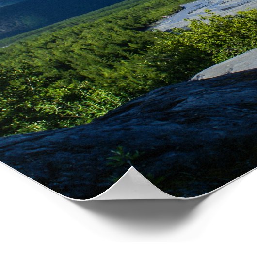 Alaska's Exit Glacier Valley Poster (Ecke)