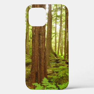 Alaskas gemäßigte Regenwälder Case-Mate iPhone Hülle