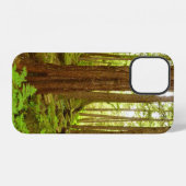 Alaskas gemäßigte Regenwälder iPhone Hülle (Rückseite (Horizontal))