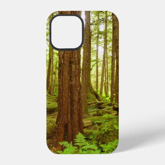 Alaskas gemäßigte Regenwälder iPhone Hülle (Rückseite)