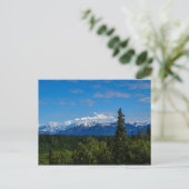 Alaska's Mt. McKinley Postkarte (Stehend Vorderseite)