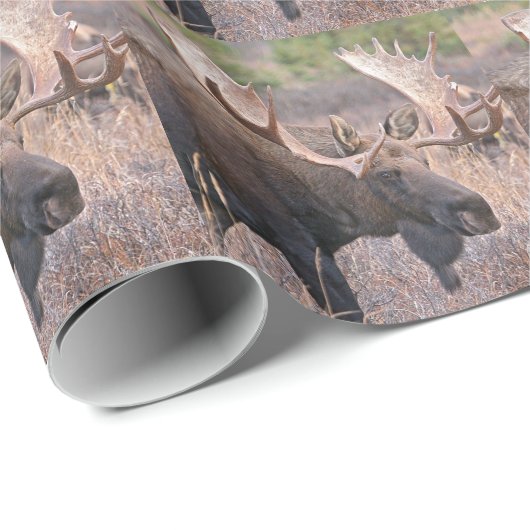Alaskische Elche Geschenkpapier (Rolleneckpunkt)
