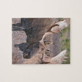 Alaskische Elche Puzzle (Horizontal)