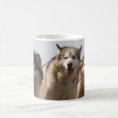 Alaskische Malamutes Kaffeetasse (Mittel)