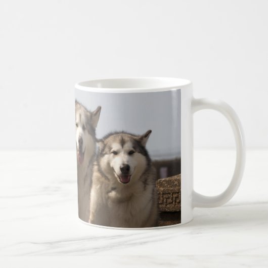 Alaskische Malamutes Kaffeetasse (Rechts)