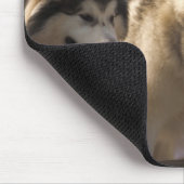 Alaskische Malamutes-Mäusematten Mousepad (Ecke)