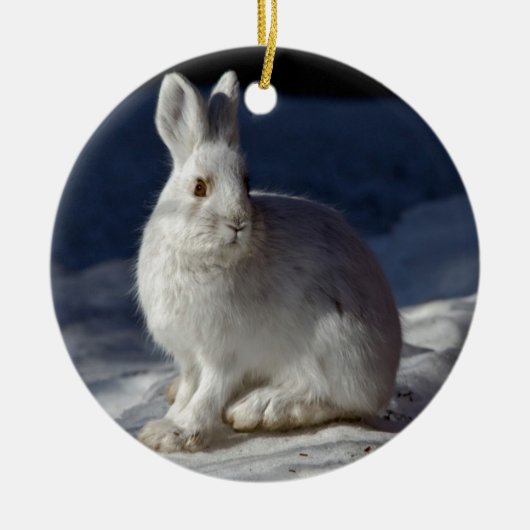 Alaskische Snowshoe-Hasen Keramik Ornament (Vorne)