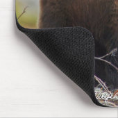 Alaskischer Braunbär in Kenai NWR Mousepad (Ecke)