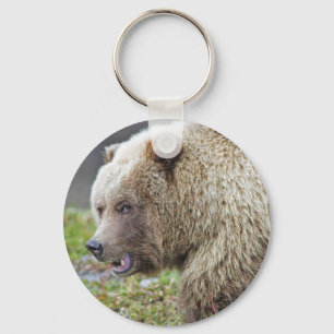 Alaskischer Braunbär Schlüsselanhänger
