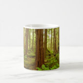 Alaskischer gemäßligter Regenwald Kaffeetasse (Mittel)