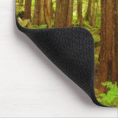 Alaskischer gemäßligter Regenwald Mousepad (Ecke)