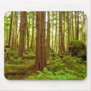 Alaskischer gemäßligter Regenwald Mousepad