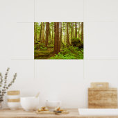 Alaskischer gemäßligter Regenwald Poster (Küche)
