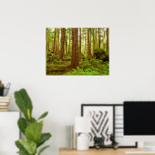 Alaskischer gemäßligter Regenwald Poster (Heimbüro)