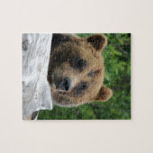 Alaskischer Grizzlybär, der Kodiak Puzzle (Horizontal)