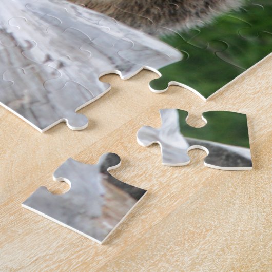 Alaskischer Grizzlybär, der Kodiak Puzzle (Seite)