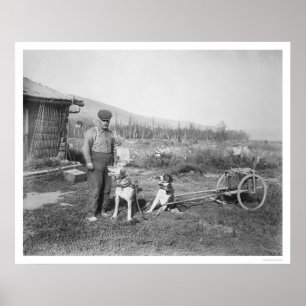 Alaskischer Hundewagen-Transport 1916 Poster