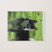 Alaskischer Klee Kai Hund Puzzle (Horizontal)