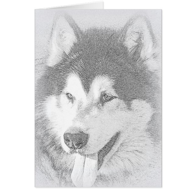 Alaskischer Malamute (Vorne)