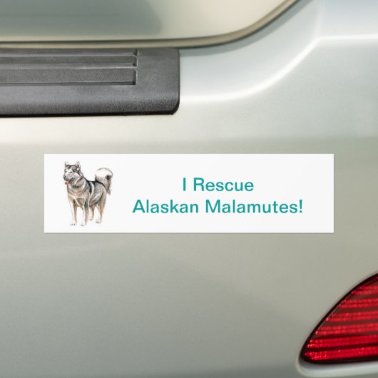 Alaskischer Malamute Autoaufkleber (Auf Auto)