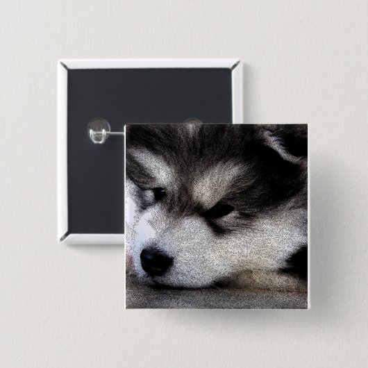 Alaskischer Malamute Button (Vorne & Hinten)