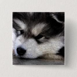 Alaskischer Malamute Button