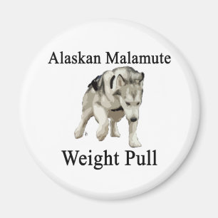 Alaskischer Malamute-Gewichts-Zug Magnet