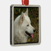 Alaskischer Malamute-Hund Ornament Aus Metall (Rechts)