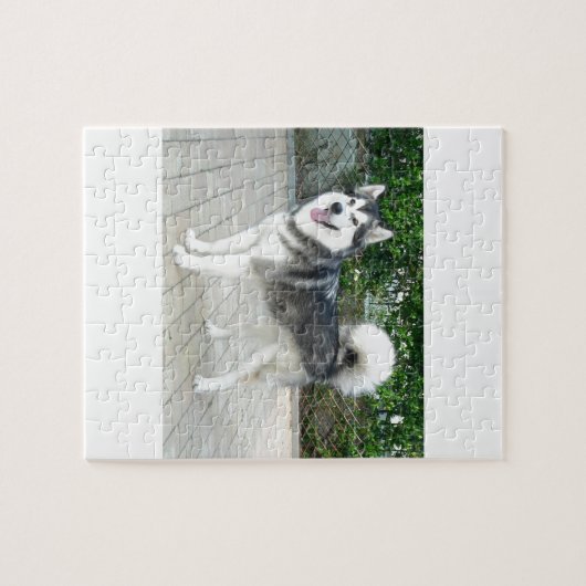 Alaskischer Malamute-Hündchen Puzzle (Horizontal)