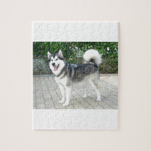 Alaskischer Malamute-Hündchen Puzzle (Vertikal)