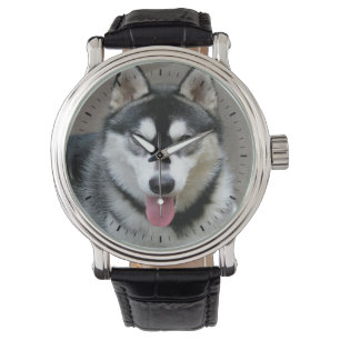 Alaskischer Malamute-Hundephotographie Armbanduhr