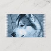 Alaskischer Malamute-HundeVisitenkarte Visitenkarte (Rückseite)