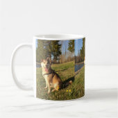 Alaskischer Malamute Kaffeetasse (Links)