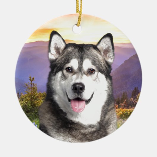 Alaskischer Malamute Keramikornament (Vorne)