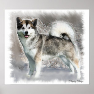 Alaskischer Malamute-Kunst-Druck-Geschenke Poster