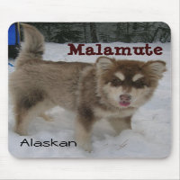 Alaskischer Malamute-Mausunterlage