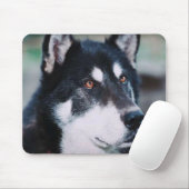 Alaskischer Malamute Mousepad (Mit Mouse)