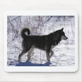 Alaskischer Malamute Mousepad