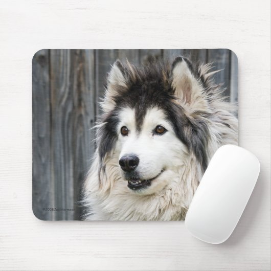 Alaskischer Malamute mousepad (Mit Mouse)