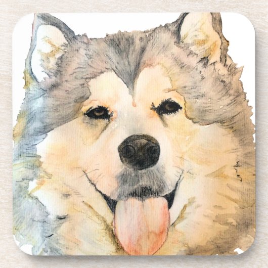 Alaskischer Malamute-Porträt Untersetzer (Vorderseite)