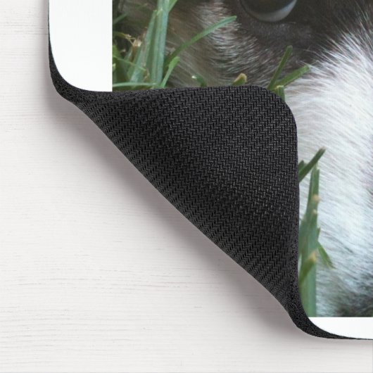 Alaskischer Malamute-Welpe Mousepad (Ecke)