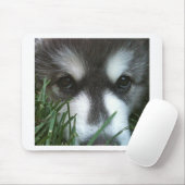 Alaskischer Malamute-Welpe Mousepad (Mit Mouse)