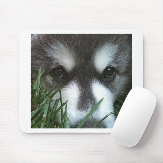 Alaskischer Malamute-Welpe Mousepad (Mit Mouse)