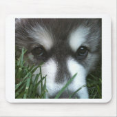 Alaskischer Malamute-Welpe Mousepad (Vorne)